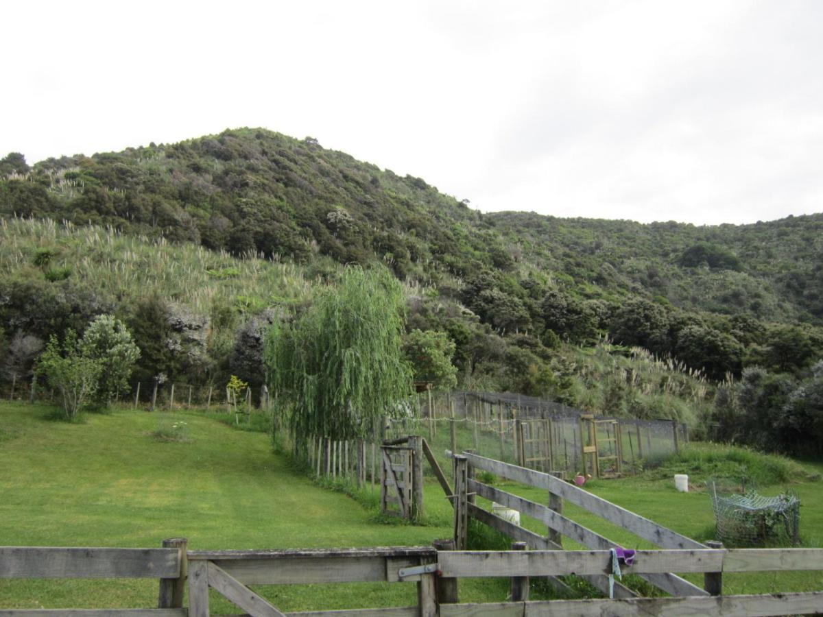 The Hen House Villa Kaipara Flats Exteriör bild